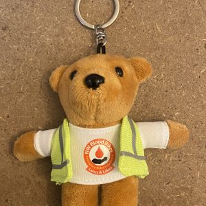 Blood Bike teddy keyring